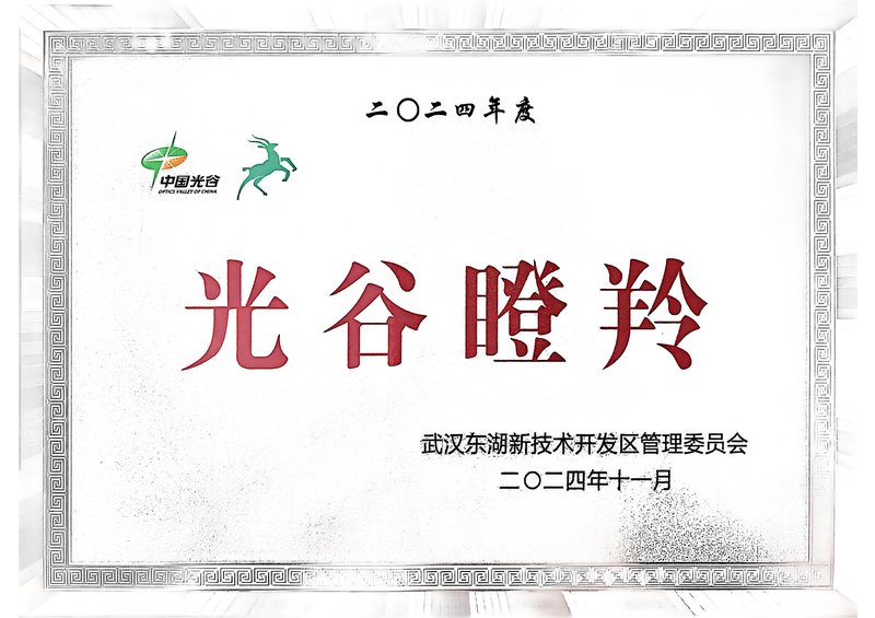光谷瞪羚企业证书