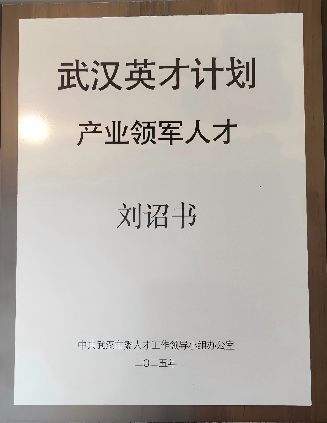 武汉英才计划 · 产业领军人才
