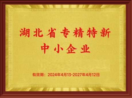 湖北省专精特新企业证书
